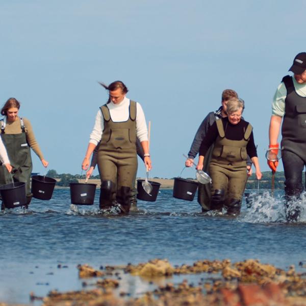 Østerssafari, gastronomi