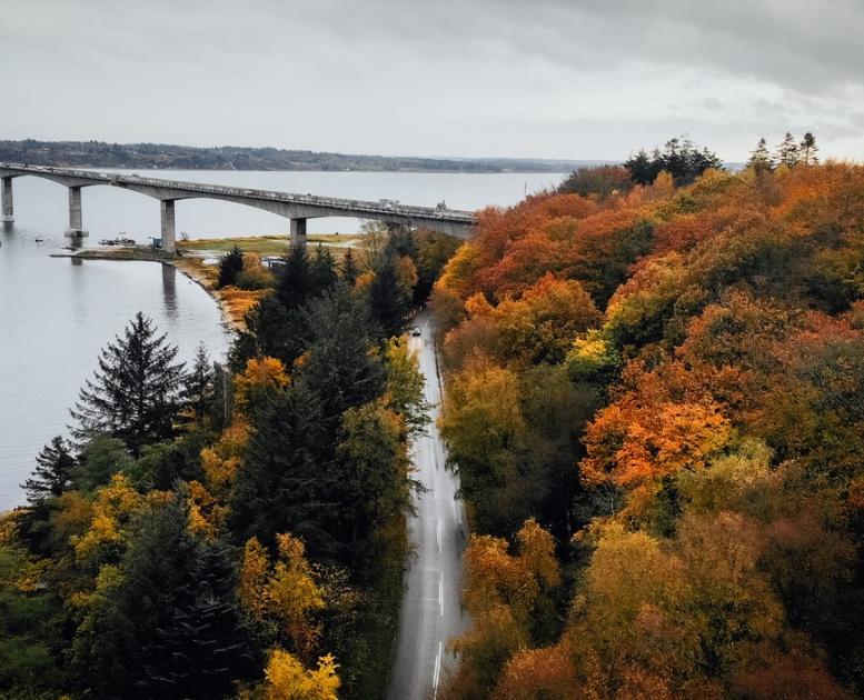 Mors, Skov, Natur, Sallingsundbroen, Limfjorden